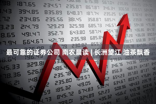 最可靠的证券公司 南农晨读 | 长洲望江 油茶飘香